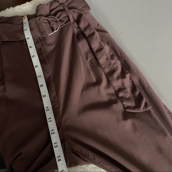 Aritzia Wilfred High Waisted Belted Pants - Picture 9 of 10